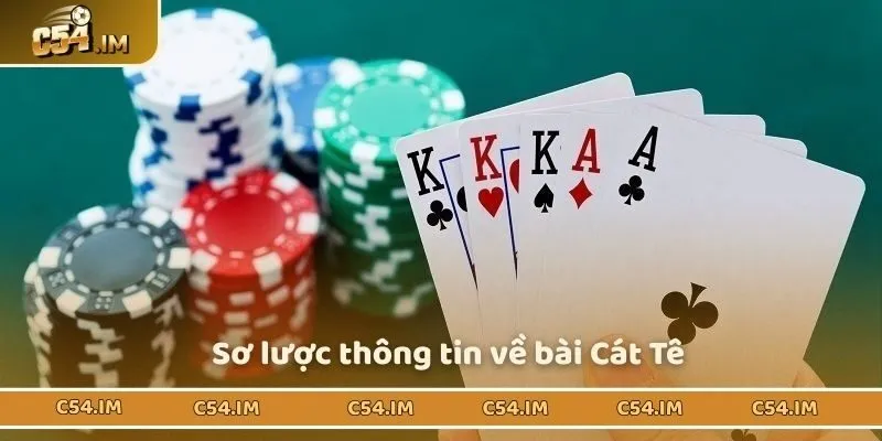 Khái quát sơ lược về bài Catte cho tân binh