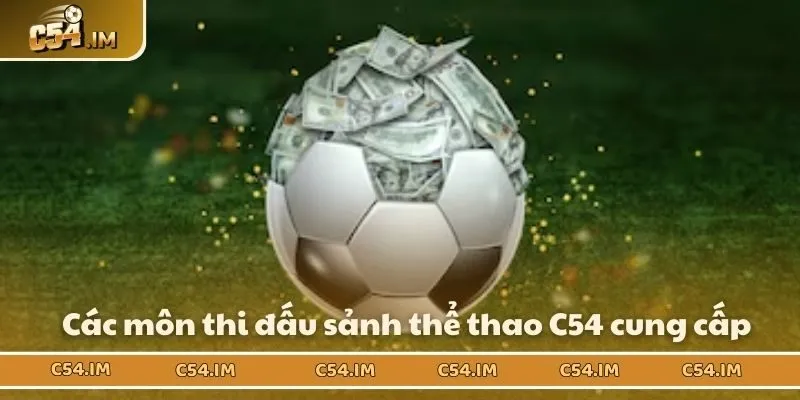 Các môn thi đấu sảnh thể thao C54 cung cấp