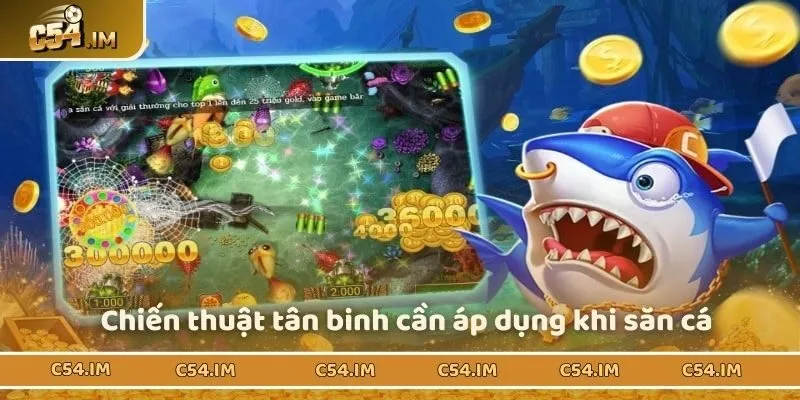 Chiến thuật tân binh cần áp dụng khi săn cá