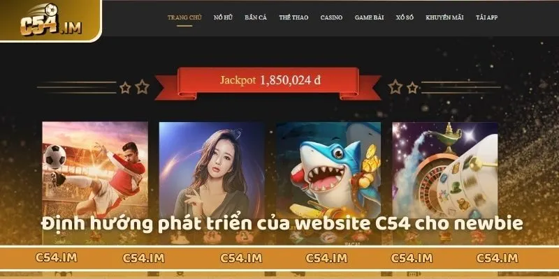 Định hướng phát triển của website C54 cho newbie 