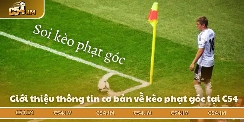 Giới thiệu thông tin cơ bản về kèo phạt góc tại C54
