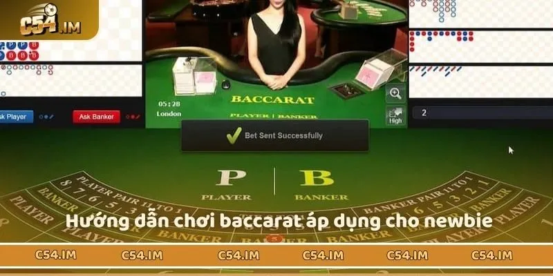Hướng dẫn chơi baccarat áp dụng cho newbie 