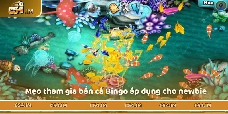 Mẹo tham gia bắn cá Bingo áp dụng cho newbie