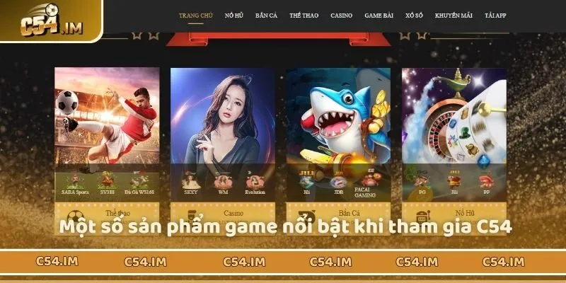 Một số sản phẩm game nổi bật khi tham gia C54 