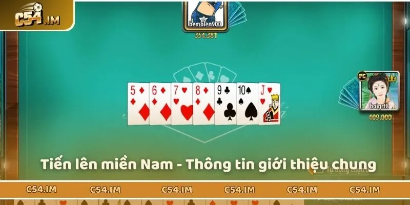 Tiến lên miền Nam - Thông tin giới thiệu chung