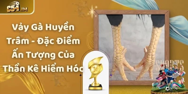 Vảy Gà Huyền Trâm - Đặc Điểm Ấn Tượng Của Thần Kê Hiểm Hóc
