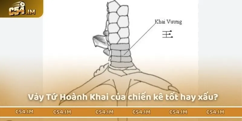 Giải đáp vảy Tứ Hoành Khai tốt hay xấu